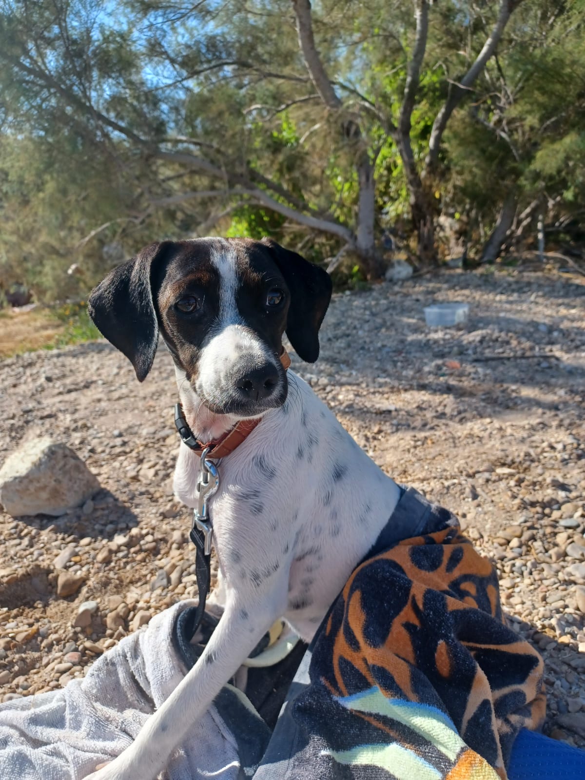 Penny *Adoptée* <3