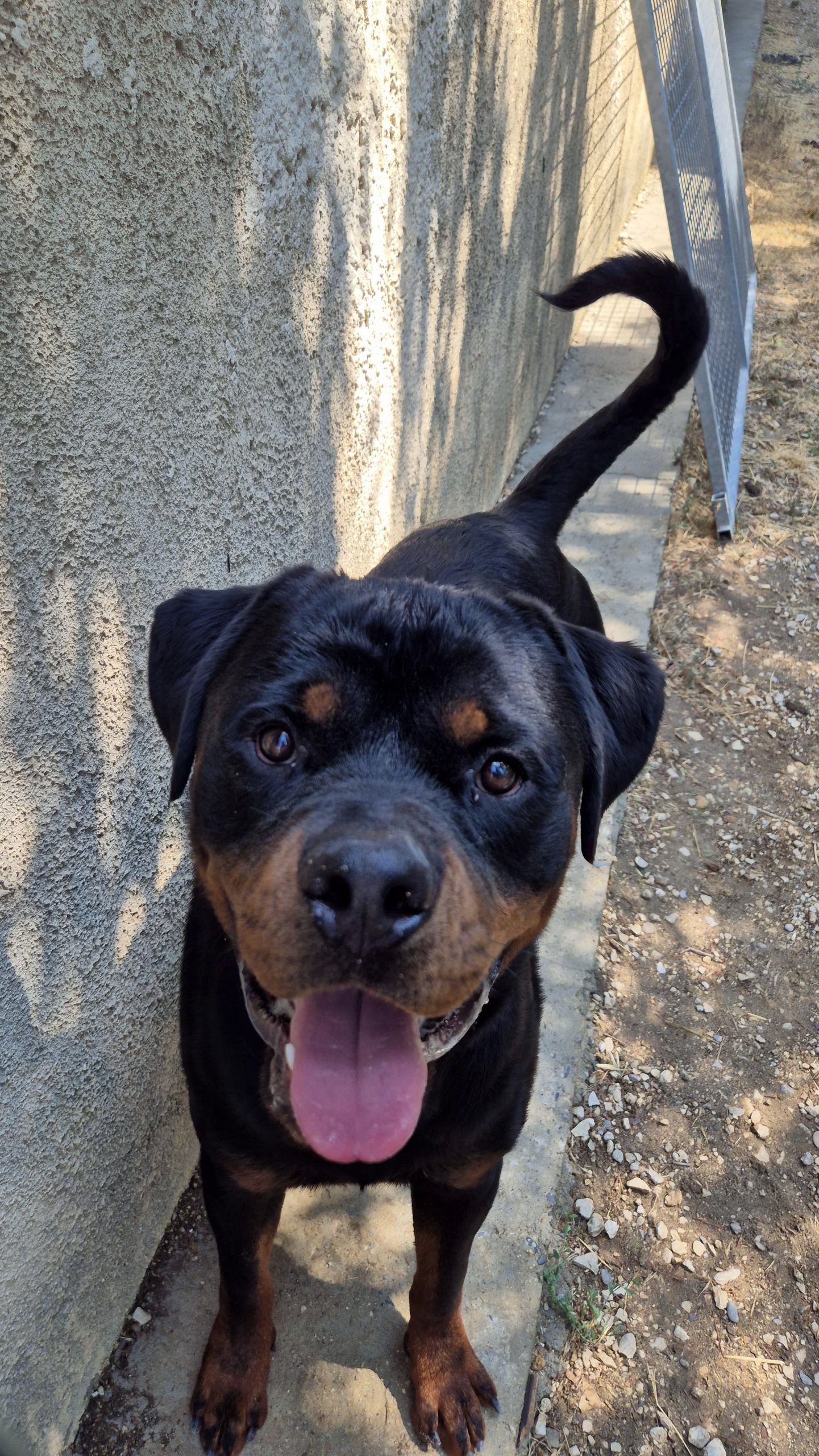 Ares