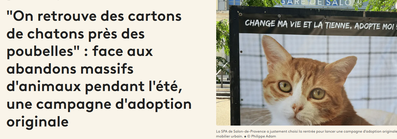 Campagne d'adoption SPA Salon
