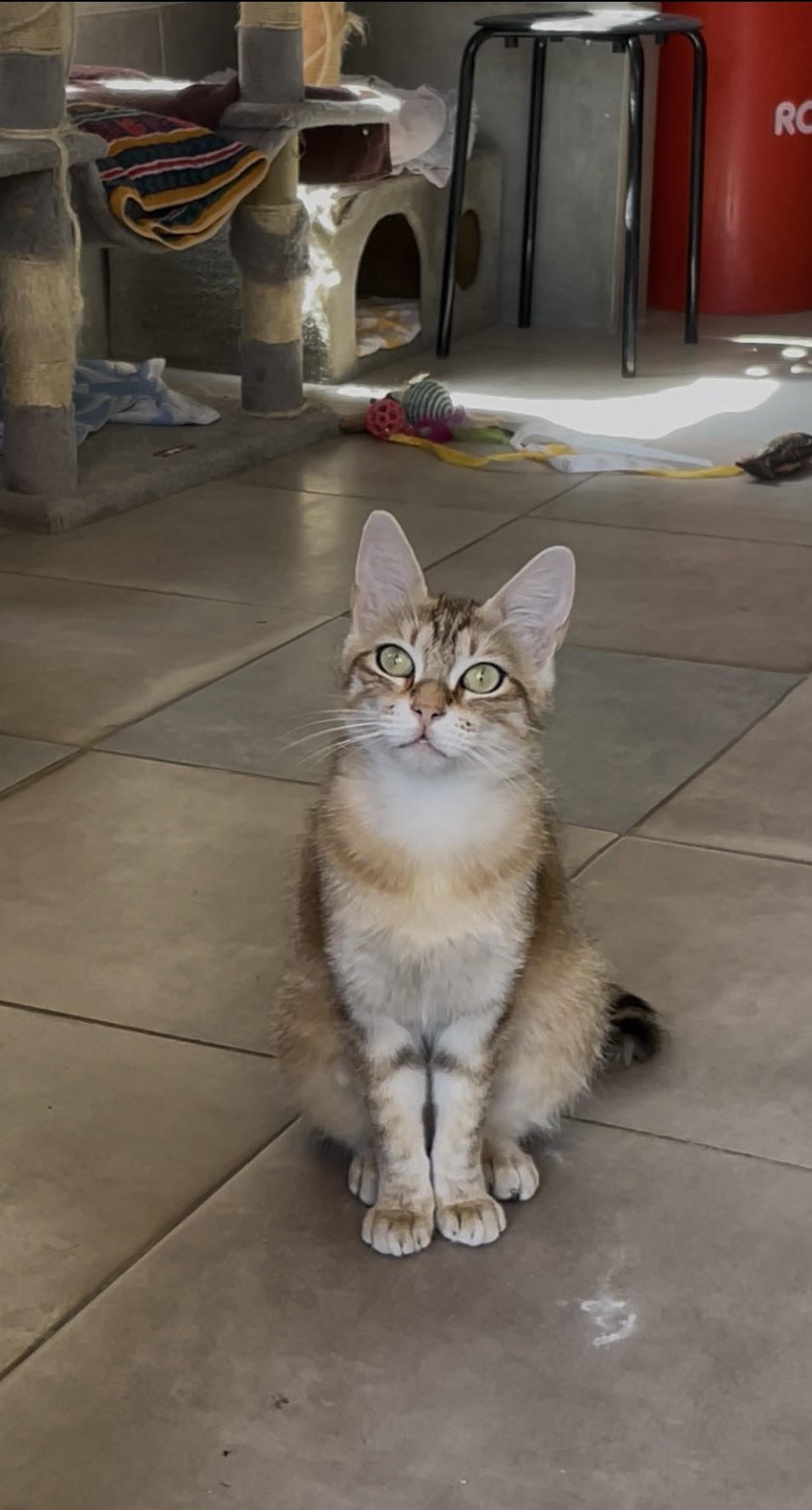FREYA