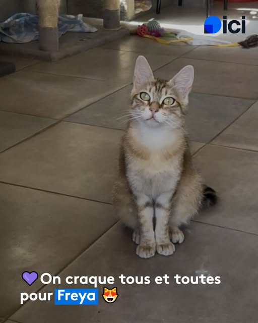 Freya – SPA de Salon-de-Provence