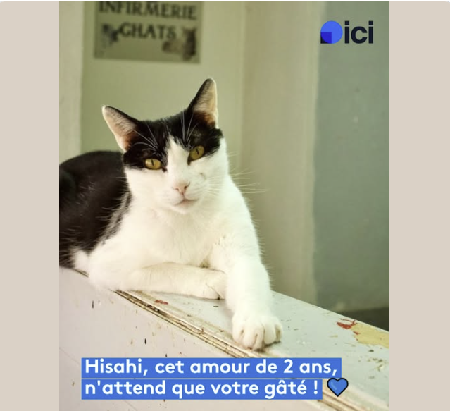 Hisahi – SPA de Salon-de-Provence