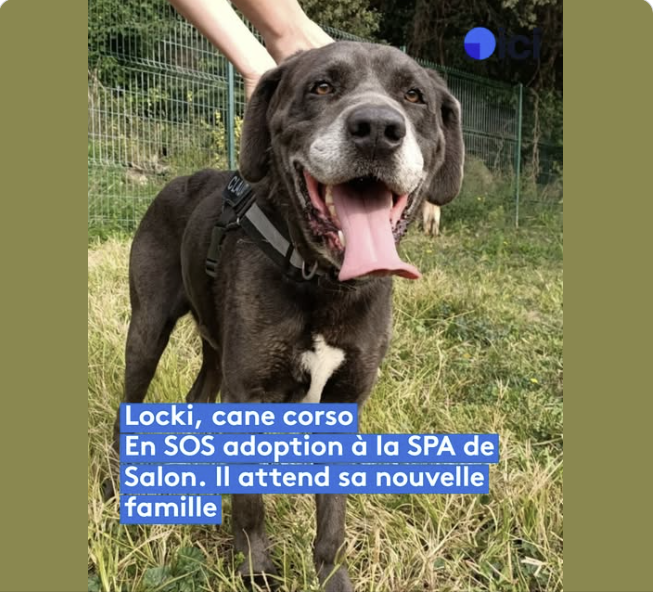 Locki – SPA de Salon-de-Provence