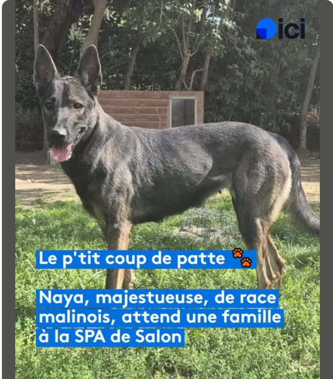 Naya – SPA de Salon-de-Provence