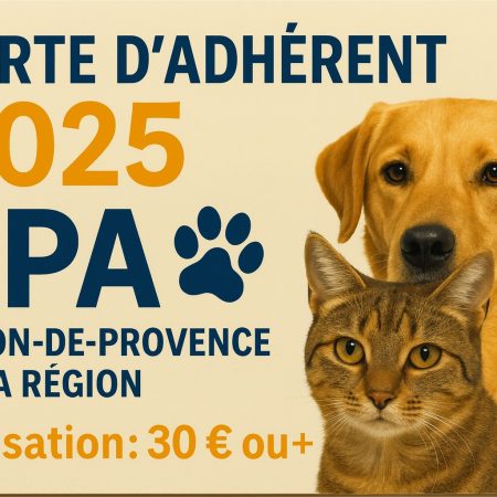 cotisation 2025 30€ ou plus