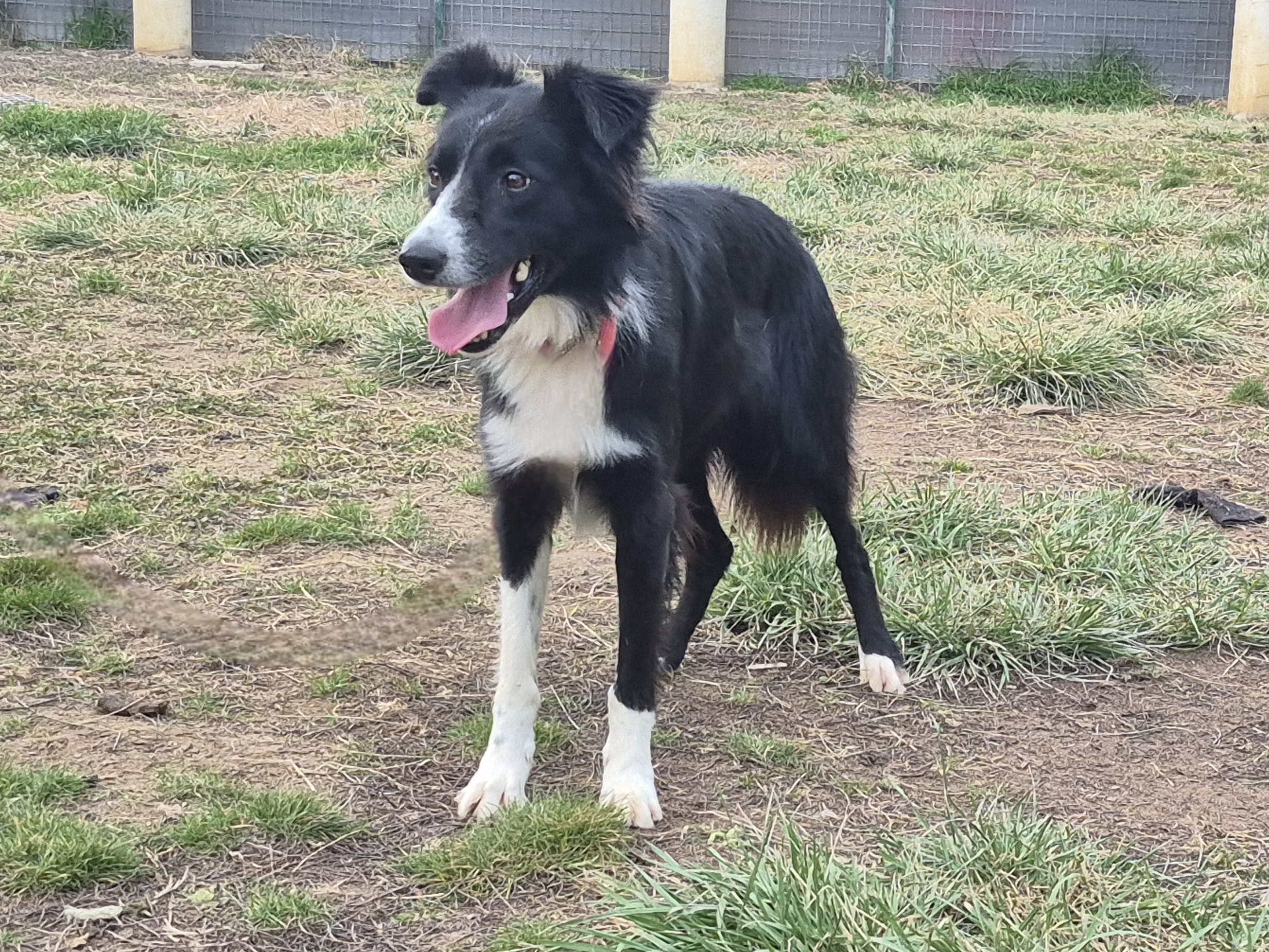 Vita « adoptée »