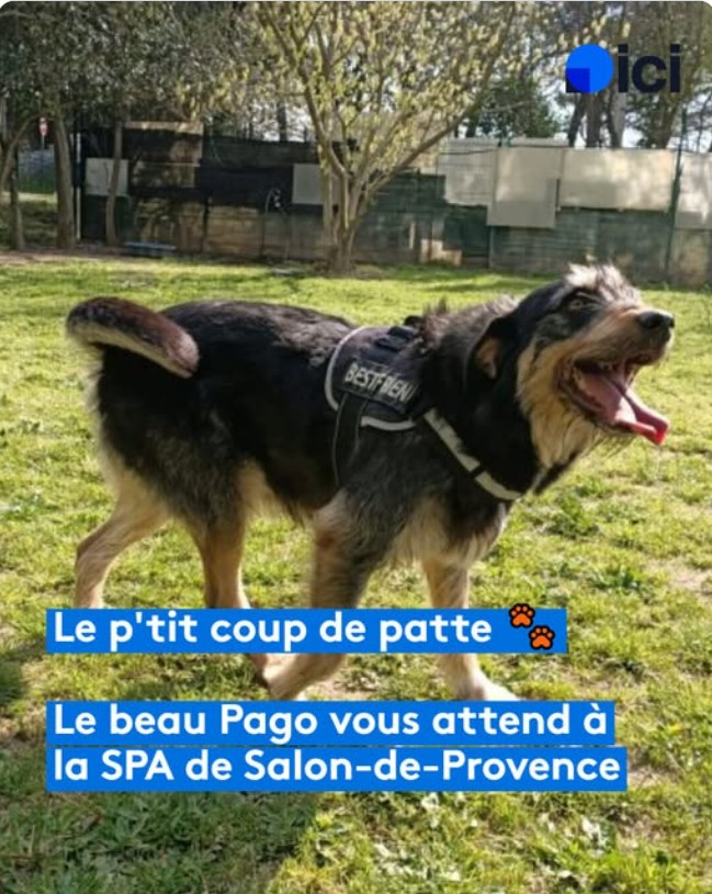 Pago – SPA de Salon-de-Provence