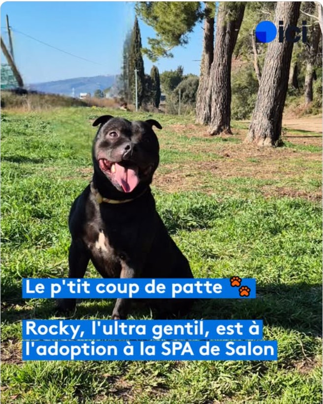 Rocky – SPA de Salon-de-Provence