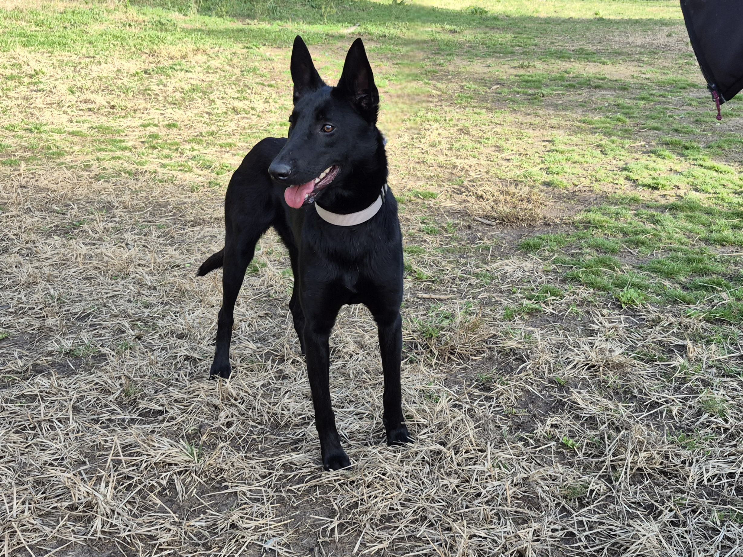 Arthemis *Réservée*