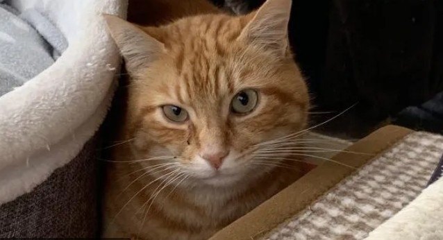 Manolo – SPA de Salon-de-Provence