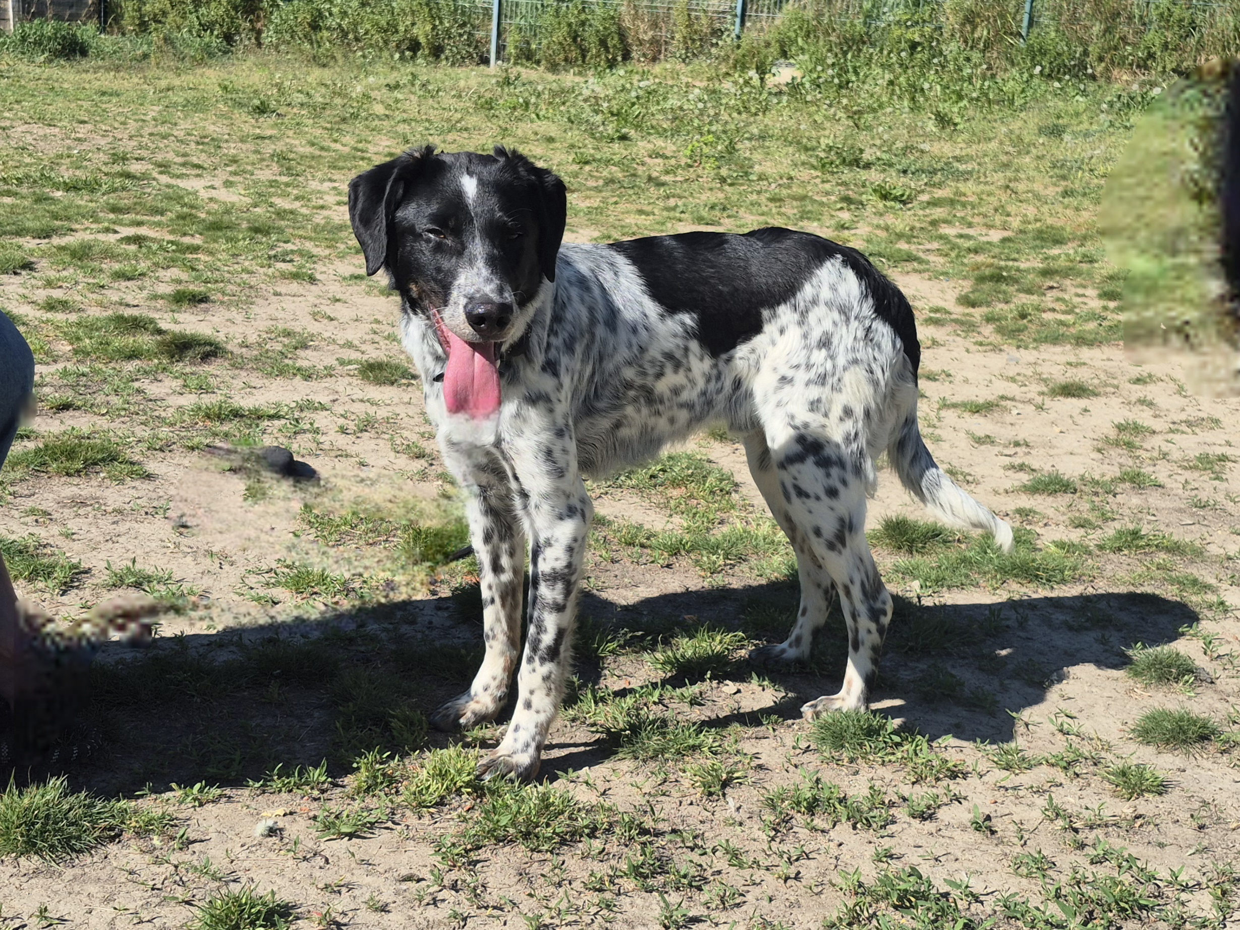 Léo *réservé partira avec Mun*