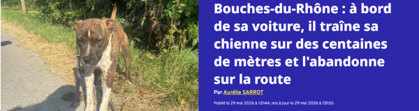 Visuel de sensibilisation consacré au sauvetage d’Arya
