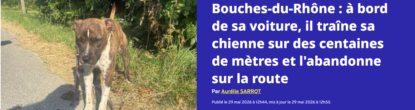 URGENCE ARYA – AIDONS-LA À SE RECONSTRUIRE OBJECTIF 5000,00 €