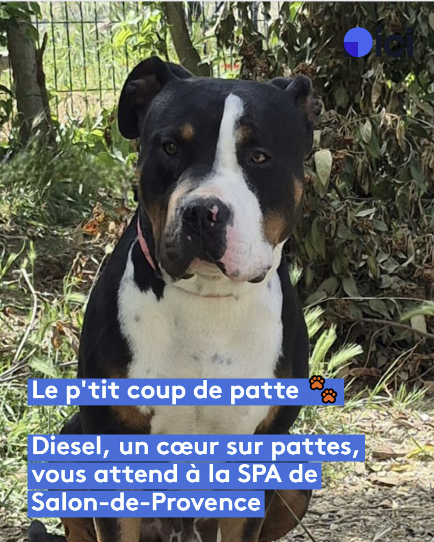 Diesel – SPA de Salon-de-Provence
