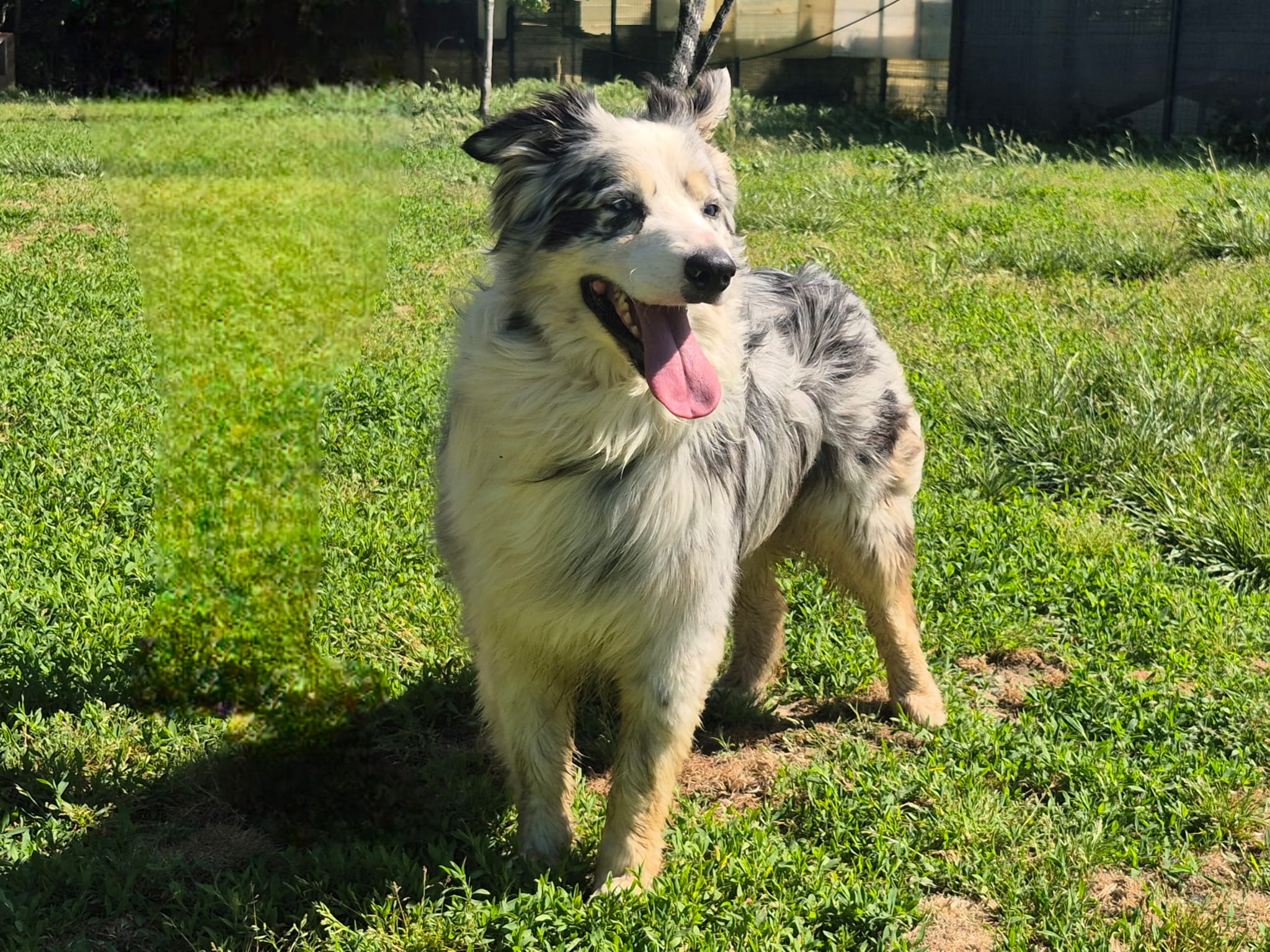 Taïco