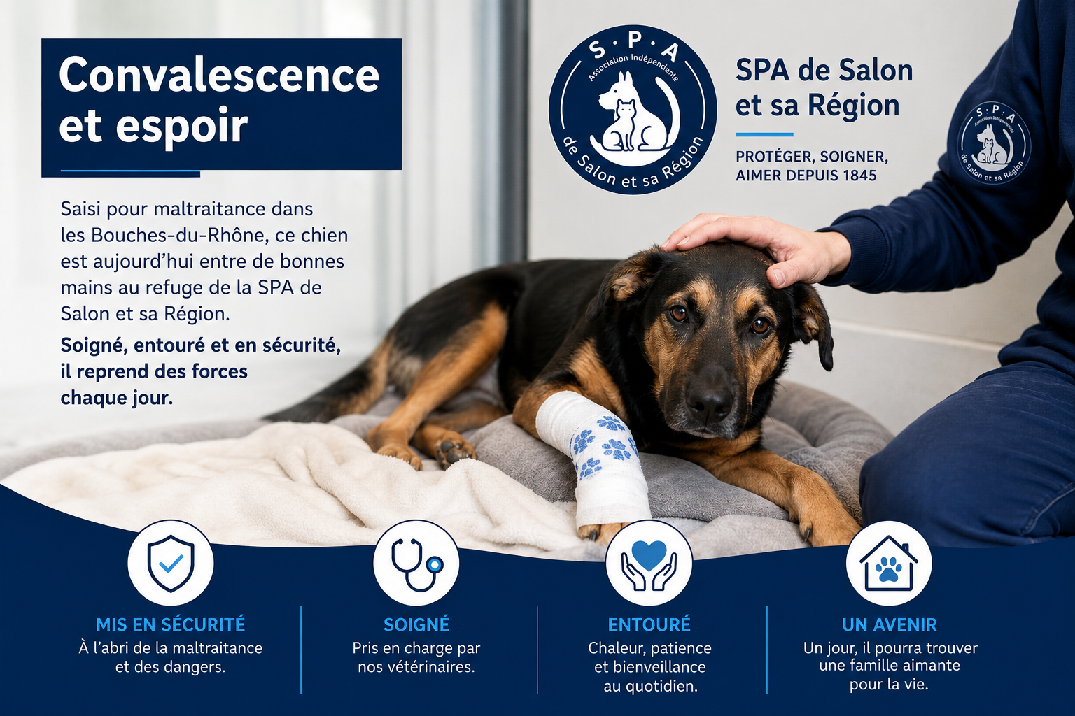 Chien en convalescence entouré par l’équipe de la SPA de Salon-de-Provence et sa Région