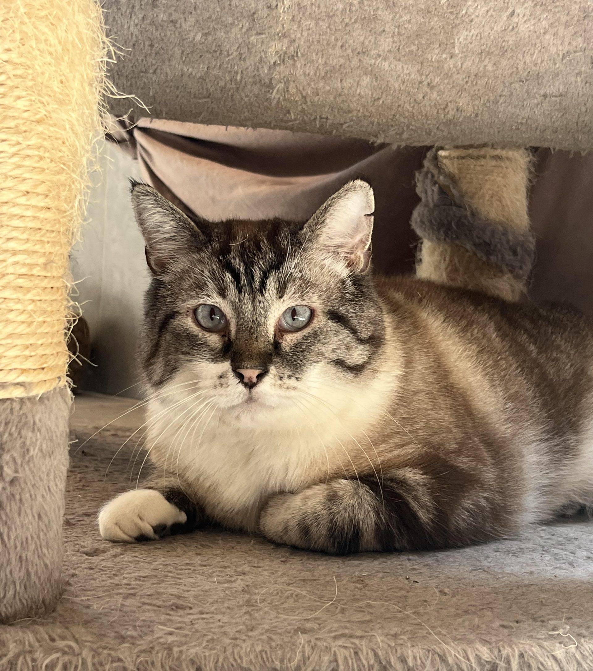 POUKY