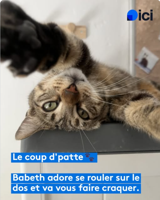 Babeth - SPA de Salon-de-Provence